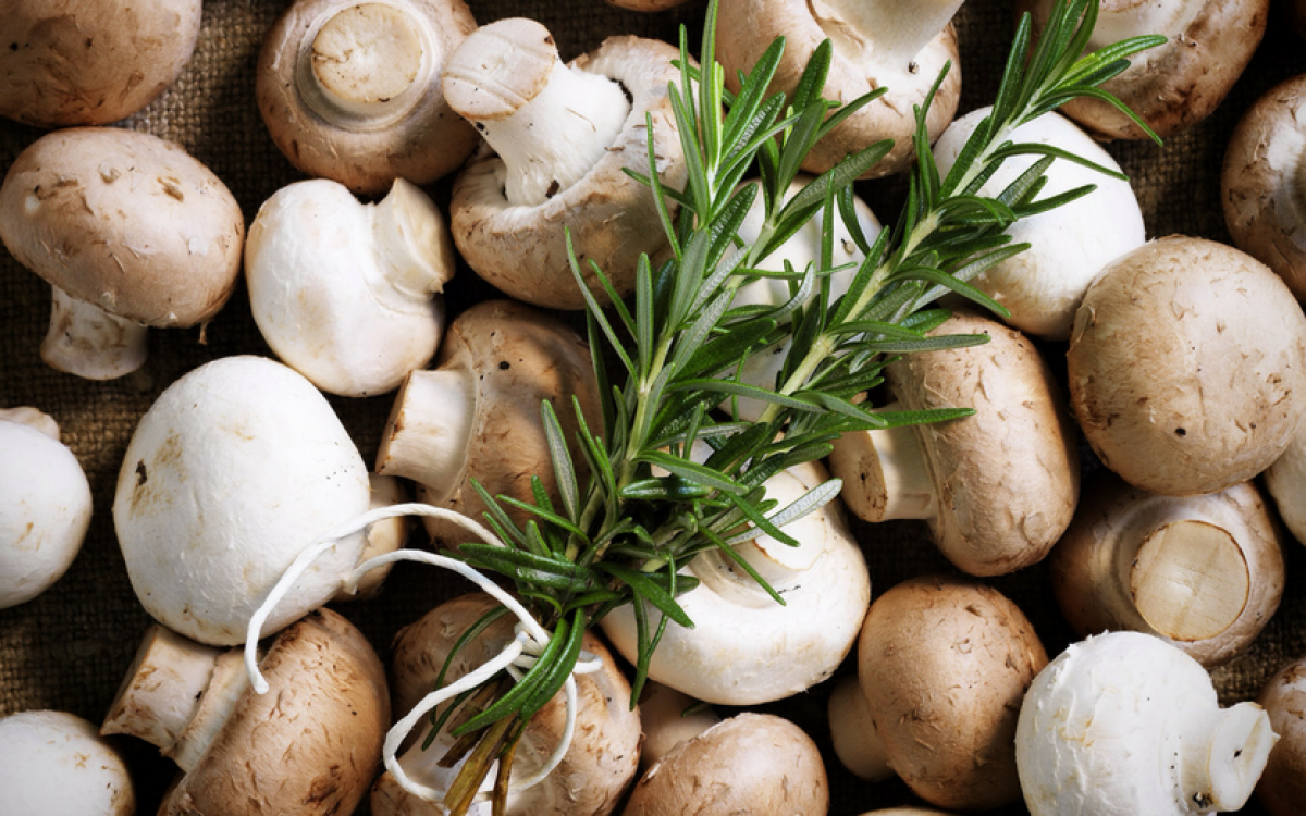 The Herb of Remembrance Uses & Recipes of Rosemary Sydney Markets